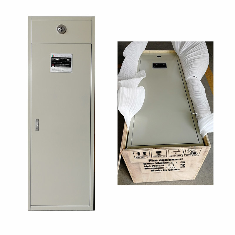 DC24V/1.6A FM200 Cabinet System Compact And Powerful Fire Suppression For Businesses